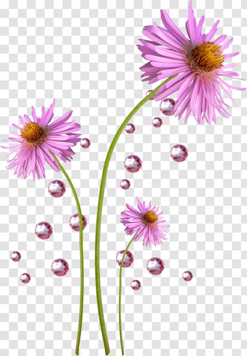 Flower Display Resolution Chrysanthemum - розовые цветы Transparent PNG