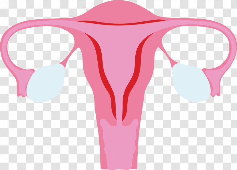 Menstruation Menstrual Cycle Ovary Blood Shoulder - Tree - Flower Transparent PNG