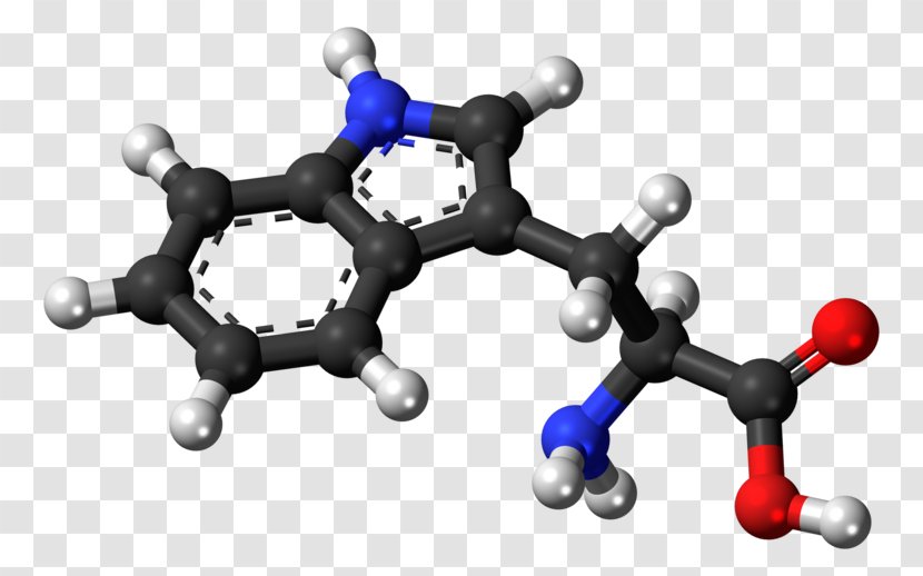 Dietary Supplement Amino Acid 5-Hydroxytryptophan - Chemical Compound - Oxygen Atom Model Build Transparent PNG