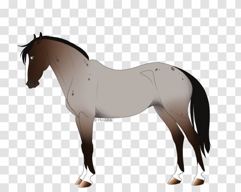 Foal Mane Stallion Rein Mare - Pack Animal - Mustang Transparent PNG