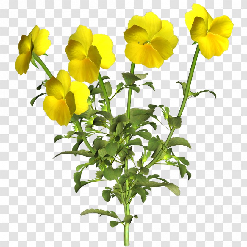 Pansy Flower Clip Art - Yellow Transparent PNG