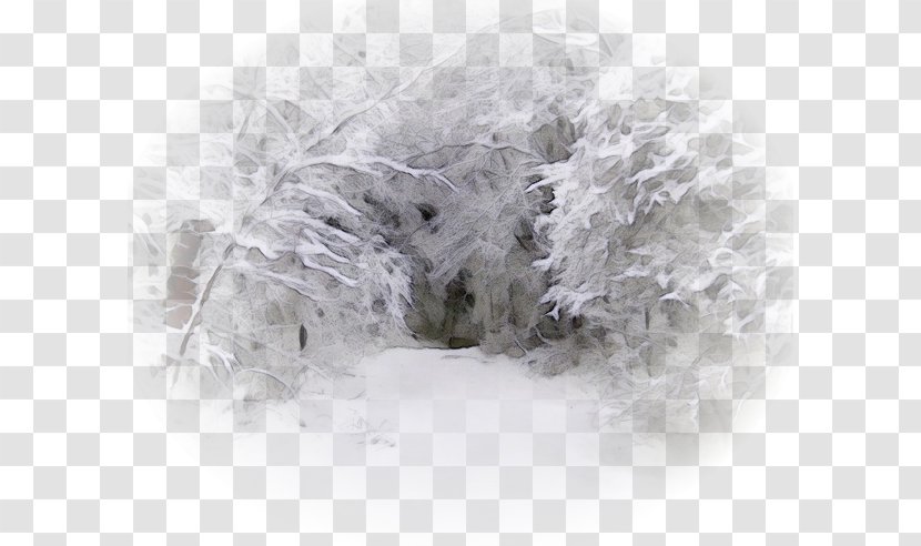 Snow Freezing Winter Frost - Wet Ink Transparent PNG