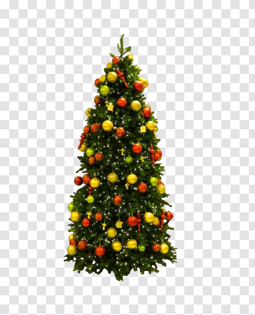 Christmas Tree - Decoration - Ornament Holiday Transparent PNG