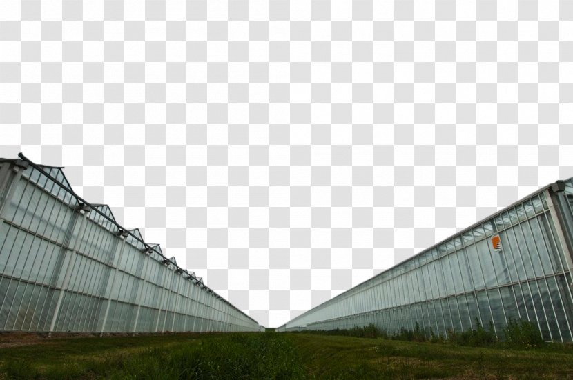 Glass Facade Greenhouse Wall - Grass Transparent PNG