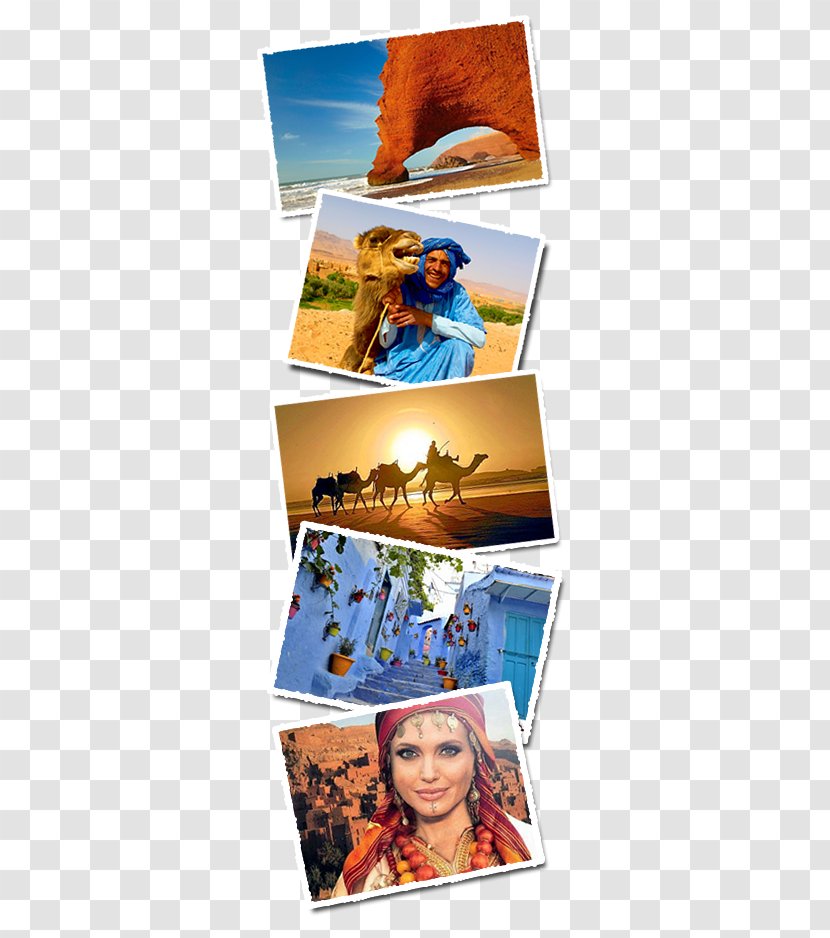 Morocco Tours, Tours Sahara Collage Travel Tourism In Poster - Photomontage Transparent PNG