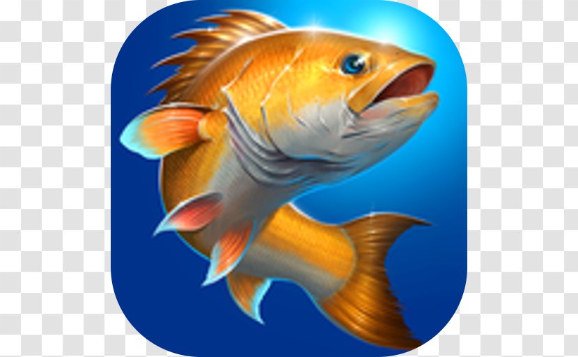 Fishing Hook Carpcraft: Carp Ace Fishing: Wild Catch Android - Google Duo Transparent PNG