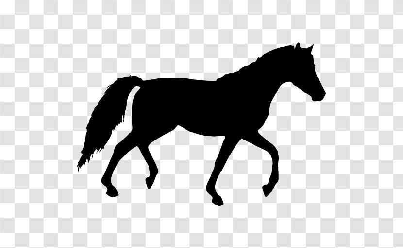 Tennessee Walking Horse Equestrian Clip Art - Equine Nutrition Transparent PNG