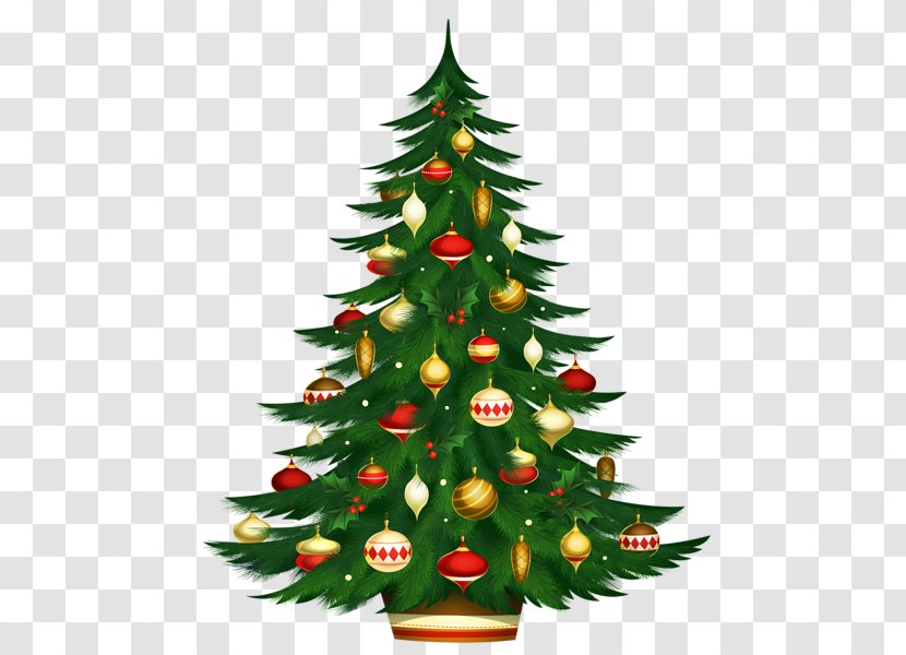 Candy Cane Christmas Tree Santa Claus Gift - Fir Transparent PNG