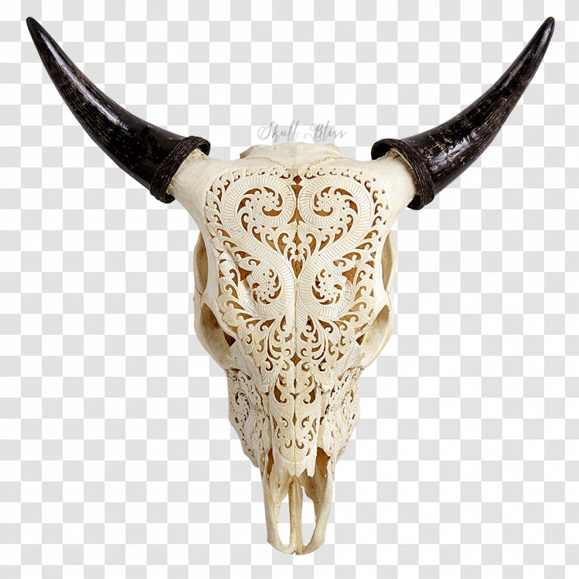 Texas Longhorn Skull Jersey Cattle Bull Transparent PNG