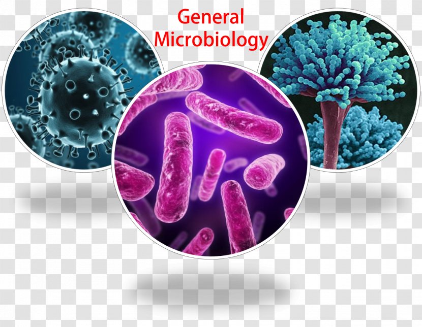 General Microbiology Microbial Genetics Microorganism Pharmaceutical - Microscope - Cairo Transparent PNG