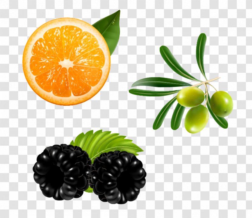 Vegetarian Cuisine Orange Blackberry Fruit - Clementine - And Olives Transparent PNG
