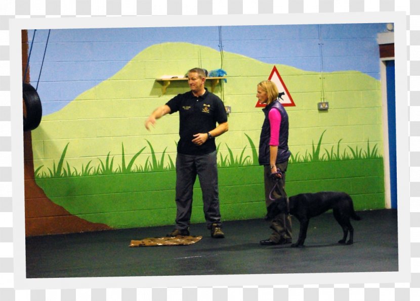 Dog Painting Recreation Google Play Transparent PNG