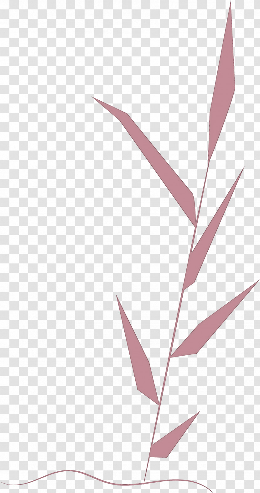 Leaf Plant Stem Root Petal Tree Transparent PNG