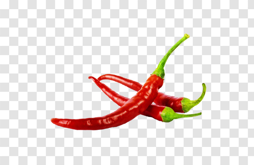 Salsa Peppers Bell Pepper Condiment Red Bell Pepper Transparent PNG