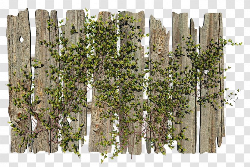 Picket Fence Garden Gate - English Landscape Transparent PNG