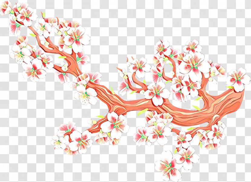 Cherry Blossom - Branch Plant Transparent PNG