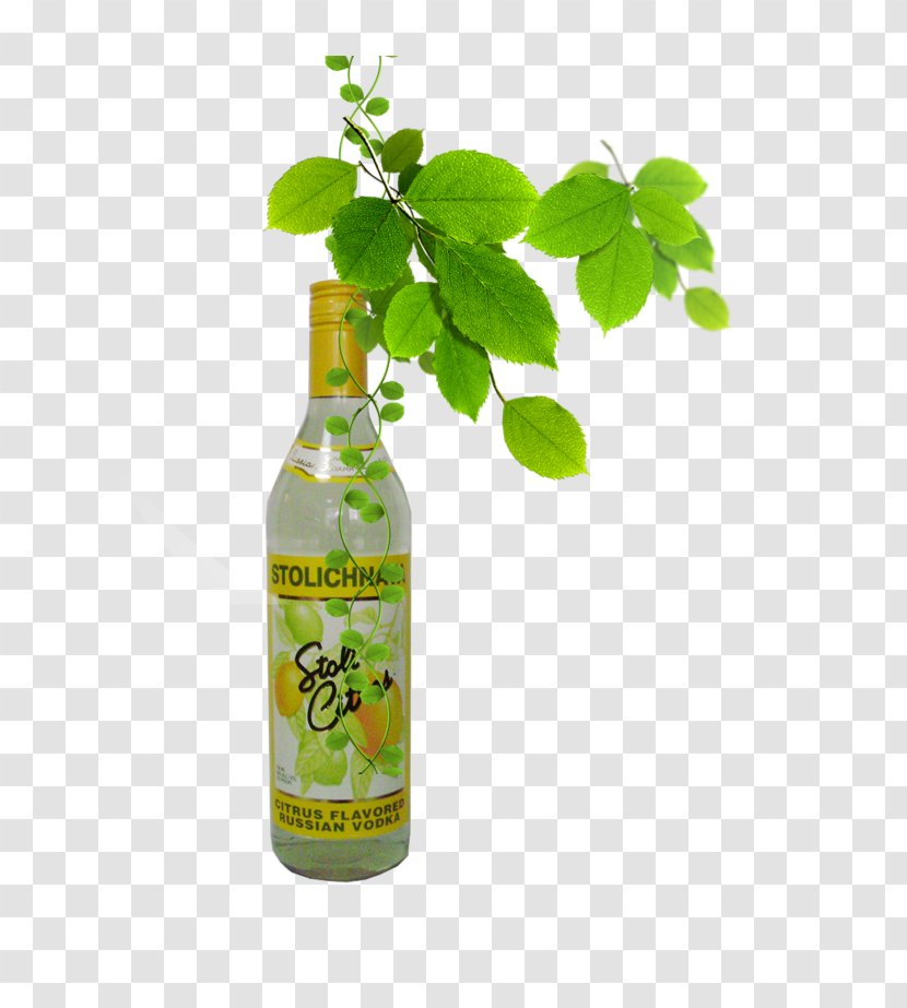 Soft Drink Apple Juice Carbonated Lemon-lime - Fruit - Drinks Soda Transparent PNG