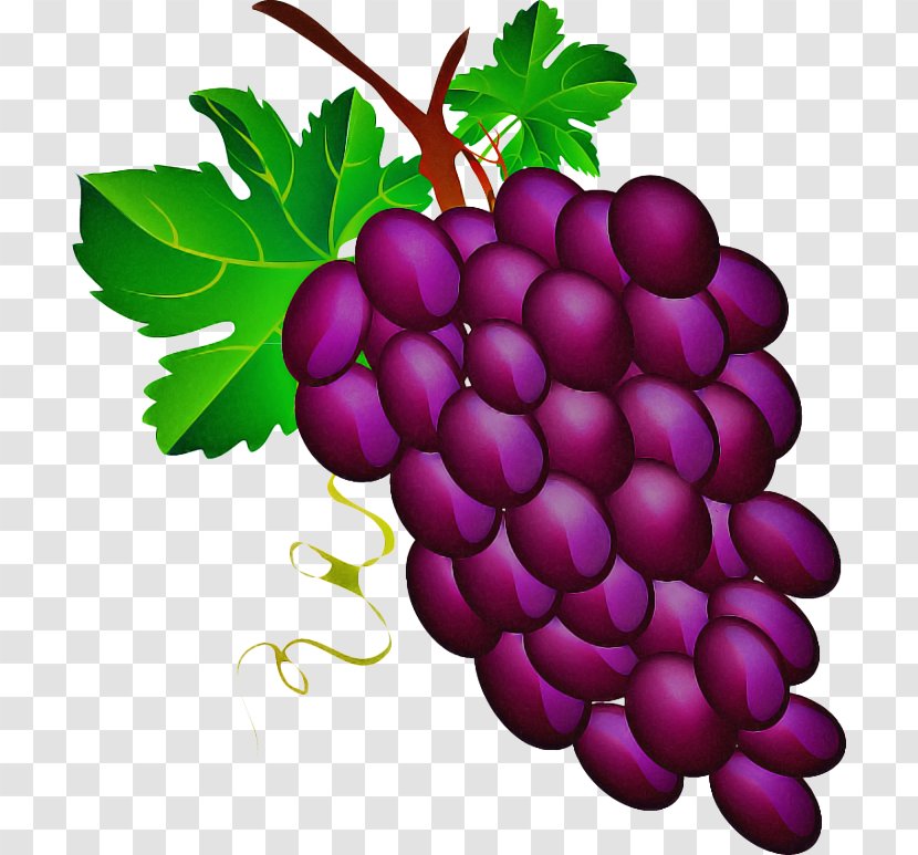 Grape Natural Foods Seedless Fruit Grapevine Family Radish - Food Transparent PNG