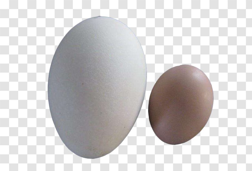 Chicken Domestic Goose Egg Duck - And Eggs Transparent PNG