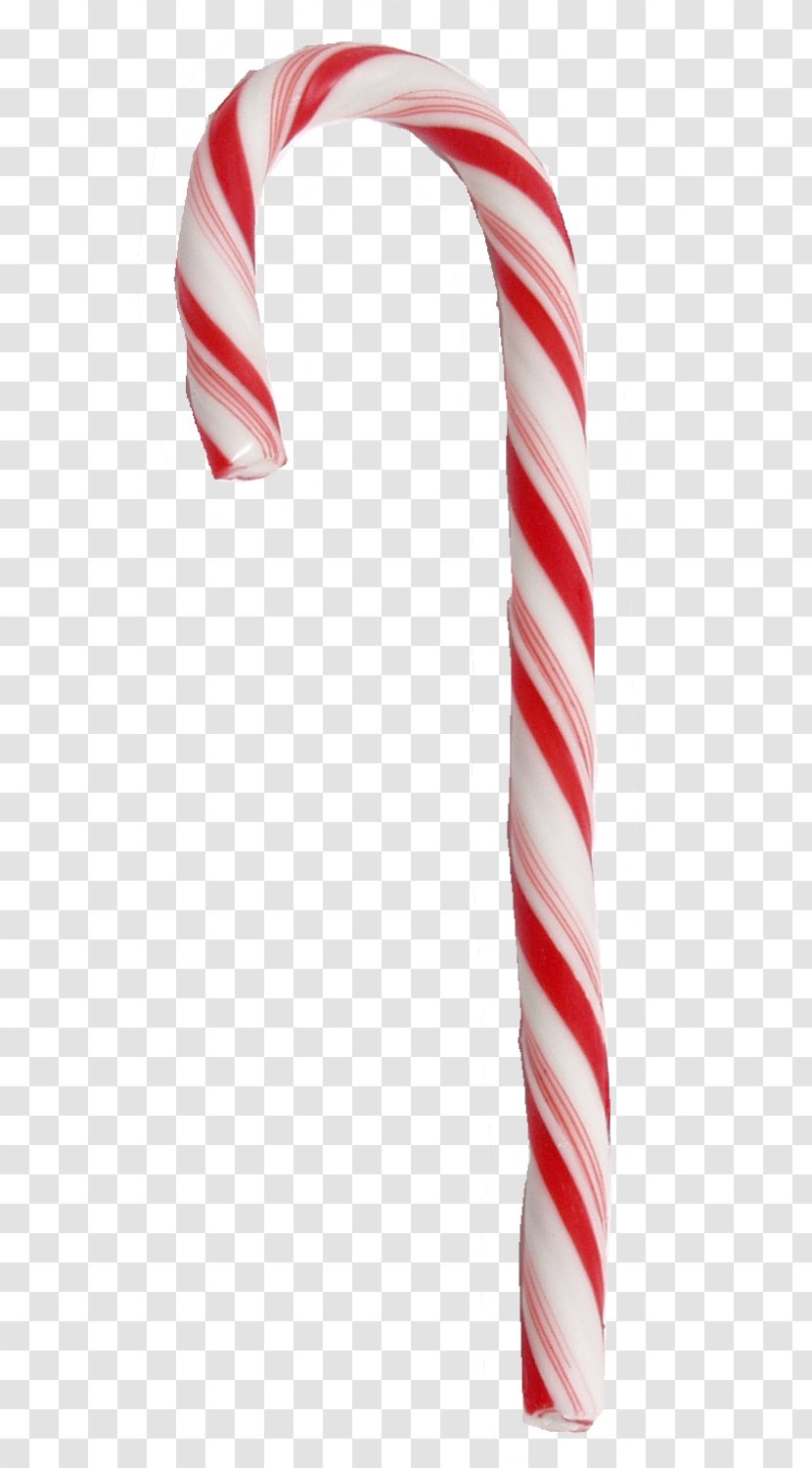Cannes Candy Cane Drawing Skunks - Http Cookie - Accessoires Background Transparent PNG