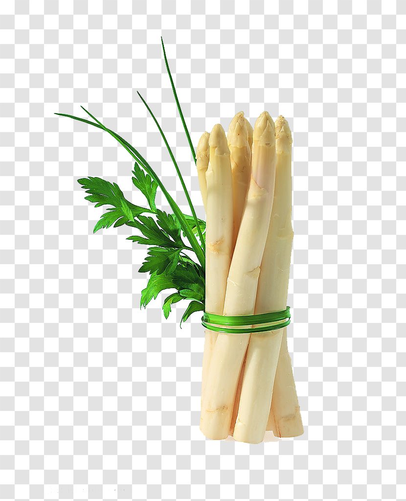 Asparagus Organic Food Seed Vegetable - Onion - Crispy Ginger Transparent PNG