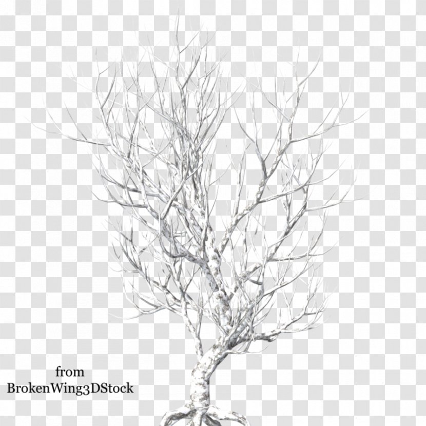 Tree Winter Light Clip Art - Plant Stem - Snow Transparent PNG