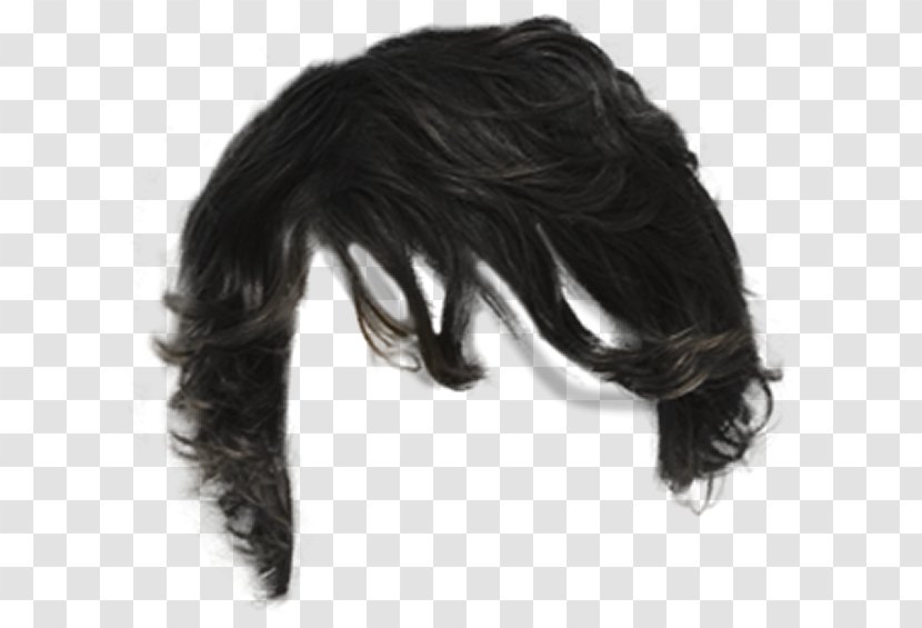 Wig - Long Hair - Brown Transparent PNG