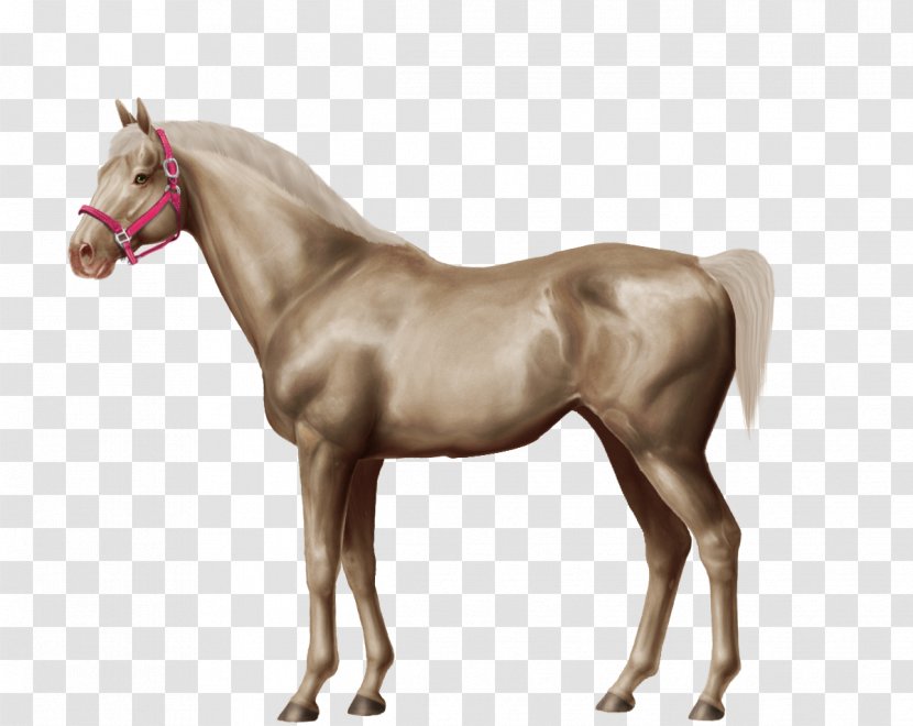 Mare Mane Stallion Mustang Foal - Rein Transparent PNG