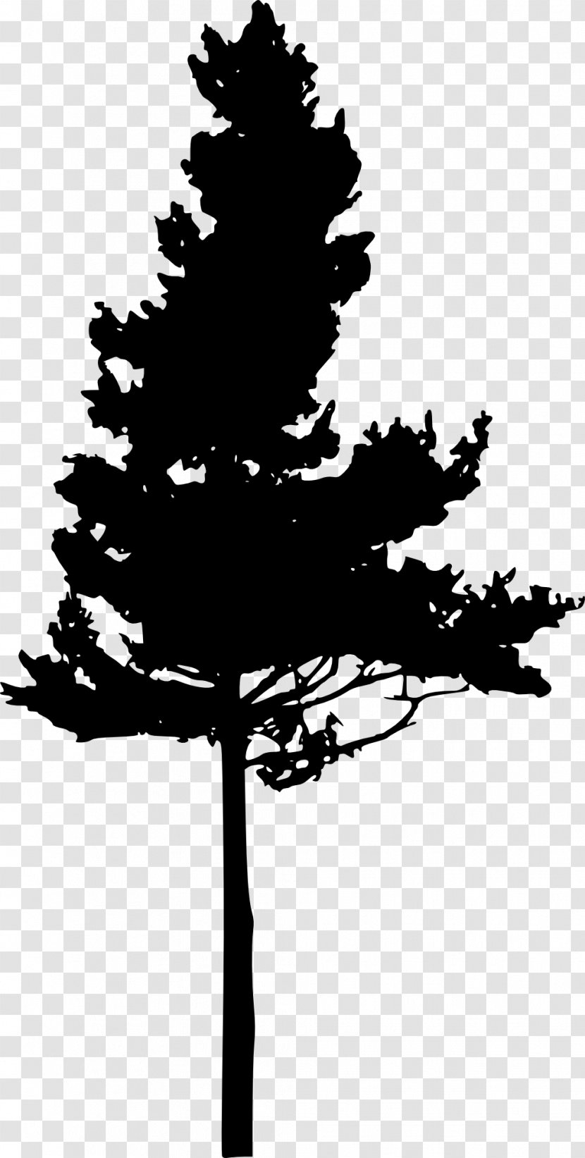 Silhouette Pine Clip Art - Black - Of Tree Transparent PNG