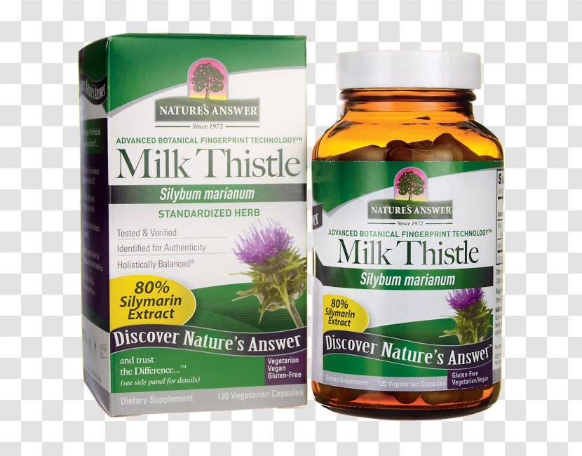 Dietary Supplement Female Ginseng Herbalism Swanson Health Products - Nutrition - Milk Thistle Transparent PNG