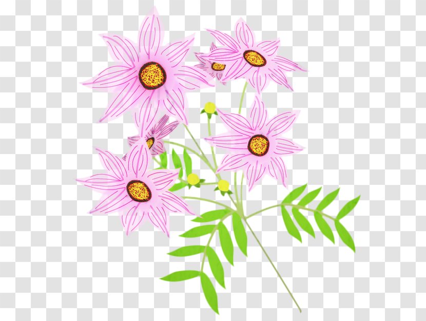 Pink Flower Cartoon - Pedicel - Cosmos Transparent PNG