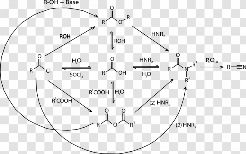 Dicarboxylic Acid Carboxyl Group Hydrogen Chloride - Cartoon - Rain Diagram Transparent PNG