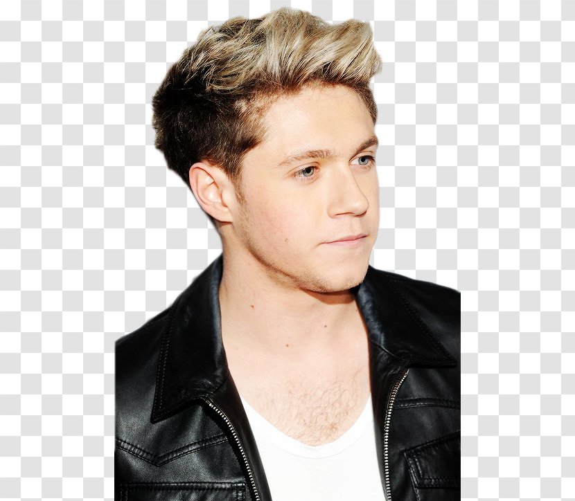 Niall Horan Where We Are Tour One Direction Mullingar Musician - Frame Transparent PNG