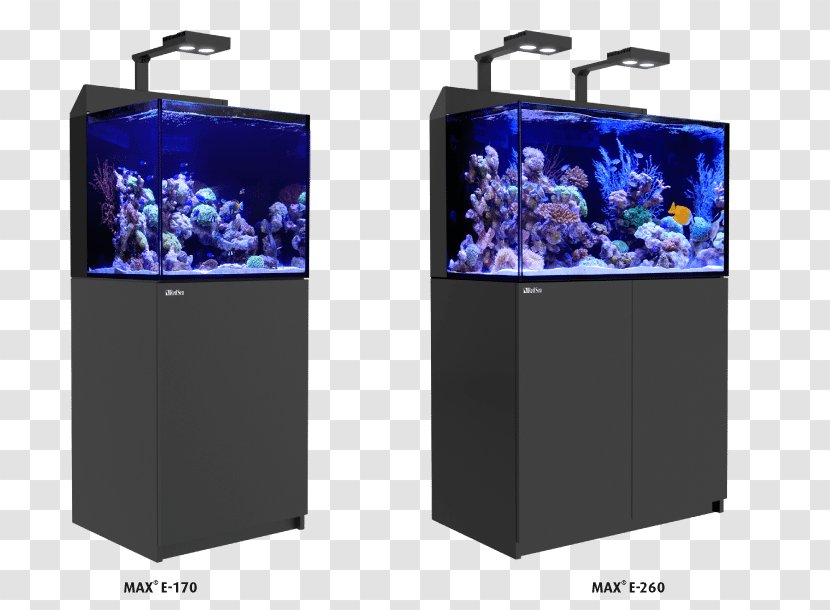 Reef Aquarium Coral Red Sea - Multimedia - Led Lamp Transparent PNG