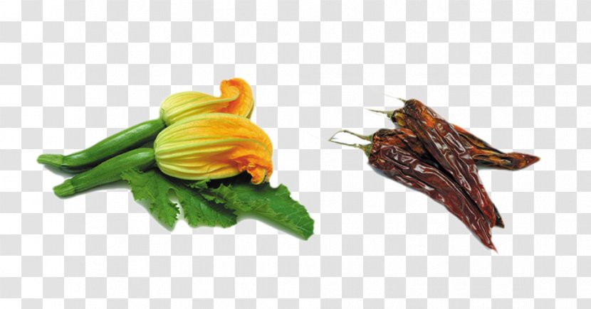 Italian Cuisine Stuffing Squash Blossom Zucchini Flower - Green Vegetables Transparent PNG