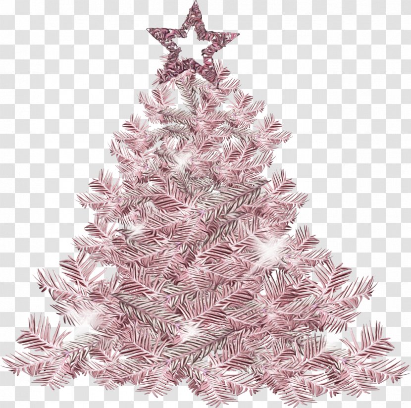 Christmas Tree - Paint - Fir Pine Transparent PNG