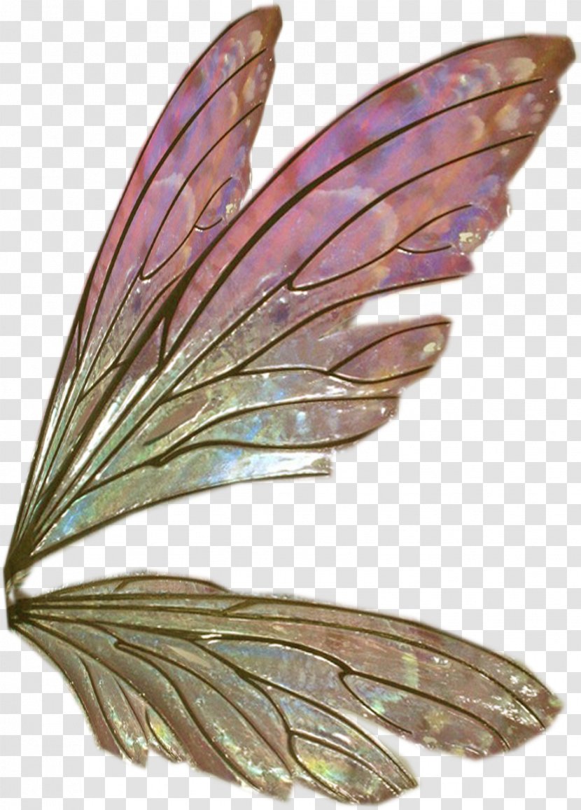Wing Feather Sticker Clip Art - Butterflies Float Transparent PNG
