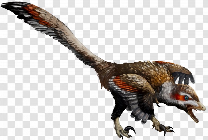 Velociraptor Fauna - Tyrannosaurus - Troodon Transparent PNG