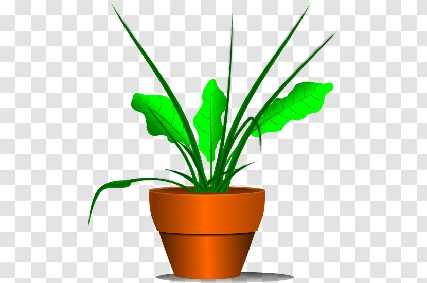 Houseplant Clip Art - Herb - No Plants Cliparts Transparent PNG