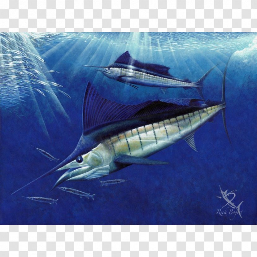 Swordfish Sailfish Atlantic Blue Marlin White Fin - Marine Biology - Art Transparent PNG