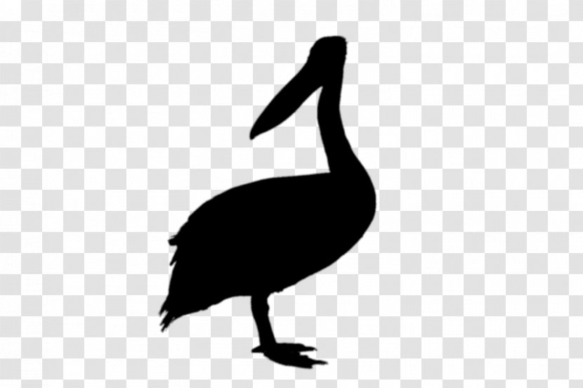 Goose Duck Black & White - Beak - M Clip Art Fauna Transparent PNG