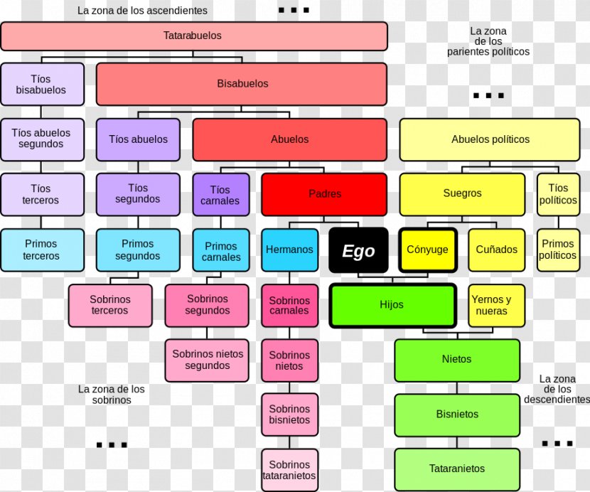 Paper Area Rectangle Square Meter - Organization Chart Transparent PNG