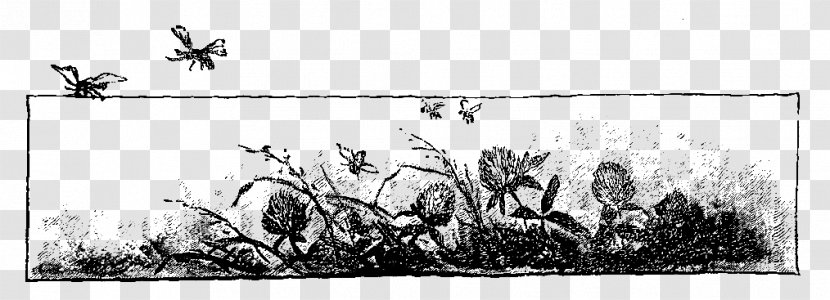 Mammal Line Art Drawing Grasses Cartoon - Tree - Botanical Border Transparent PNG
