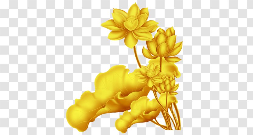 Nelumbo Nucifera Download - Flowering Plant - Cool Golden Lotus Transparent PNG