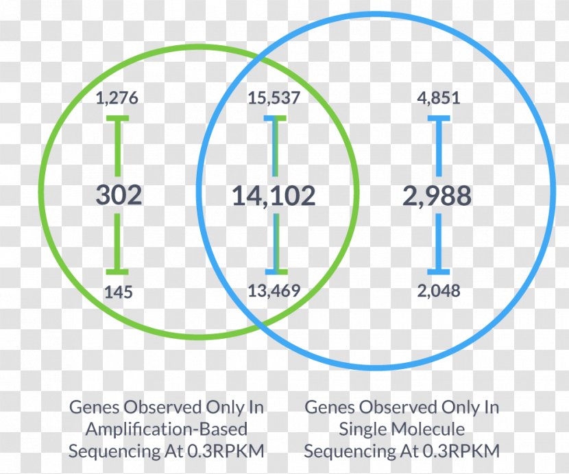 Helicos BioSciences Sequencing By Hybridization Graph Of A Function DNA - Number - Uniqueness Quantification Transparent PNG