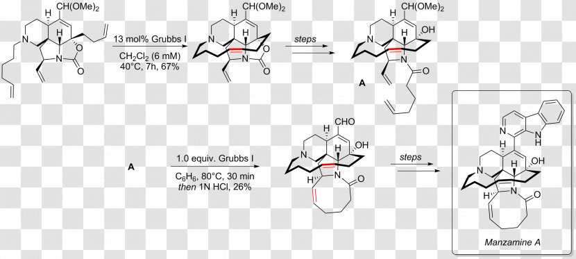 Grubbs' Catalyst Ring-closing Metathesis Olefin Salt Reaction Chemical - Silhouette - Frame Transparent PNG