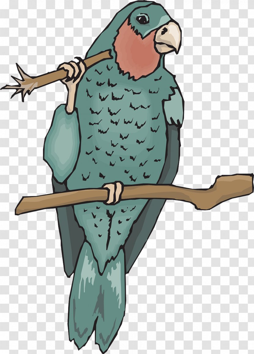 Amazon.com Amazon Parrot Bird True Clip Art - Stockxchng - Pale Blue Transparent PNG