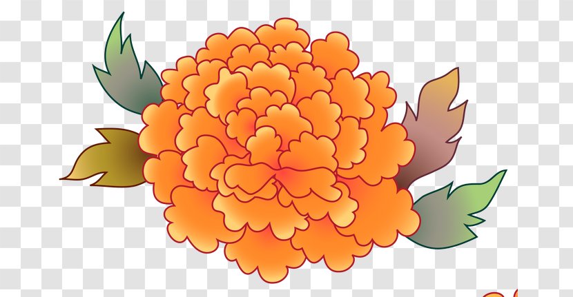 Floral Design Petal Chrysanthemum Pot Marigold Transparent PNG