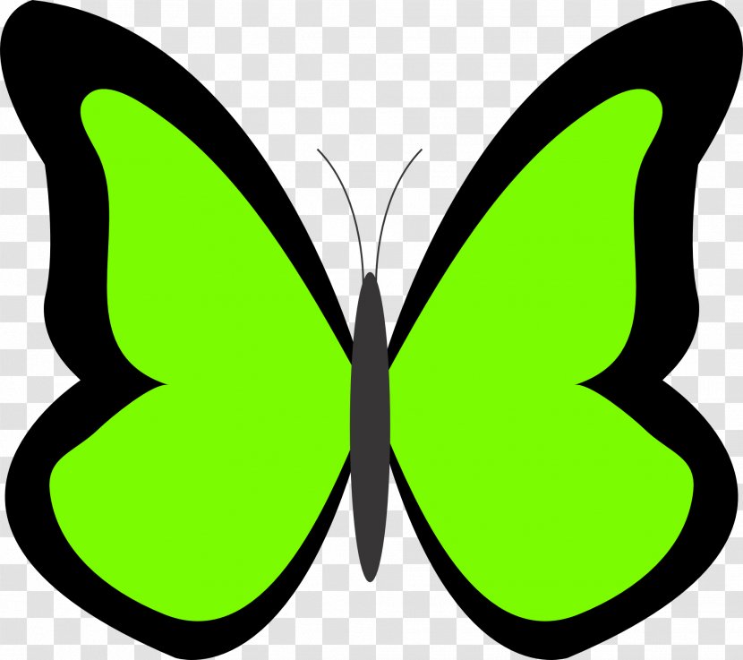 Butterfly Free Content Yellow Clip Art - Symmetry - Hastily Cliparts Transparent PNG