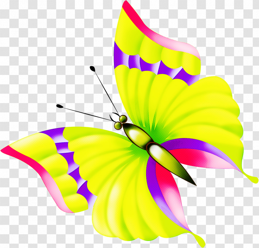 Butterfly Moths And Butterflies Insect Pollinator Plant Transparent PNG
